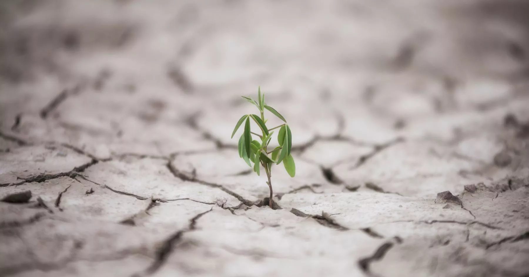 Business Resilience