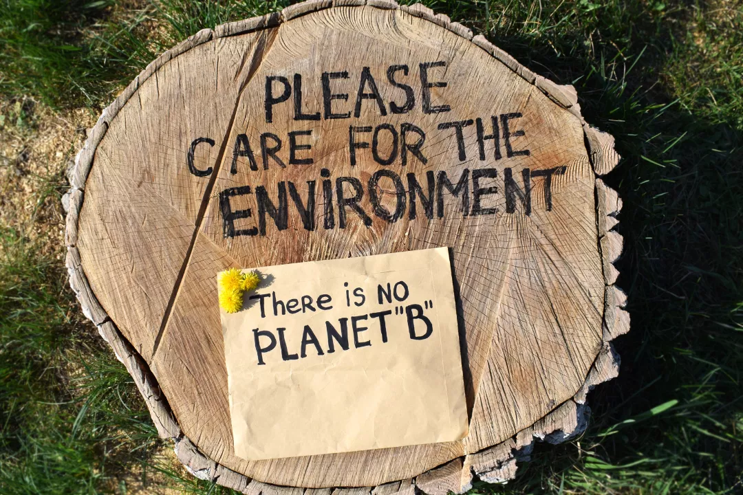 Reforesting Baran